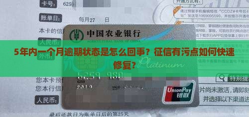 5年内一个月逾期状态是怎么回事