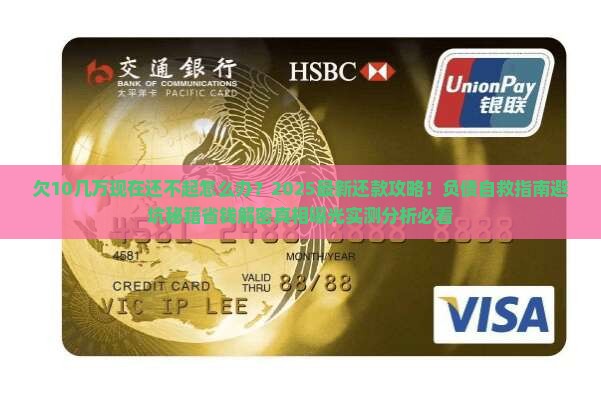 欠10几万现在还不起怎么办