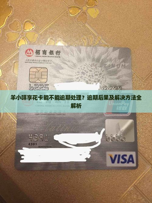 羊小咩享花卡能不能逾期处理