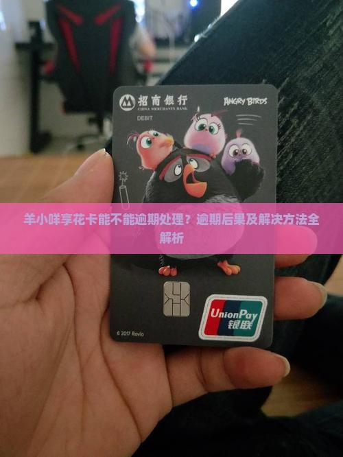 羊小咩享花卡能不能逾期处理