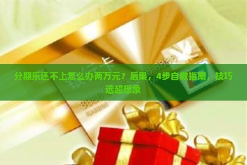 分期乐还不上怎么办两万元