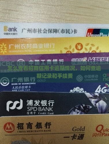 怎么查看招商信用卡逾期情况