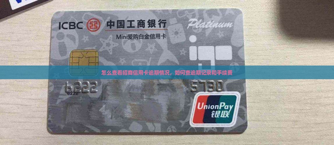 怎么查看招商信用卡逾期情况