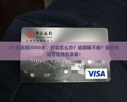微粒贷2个月逾期3000多