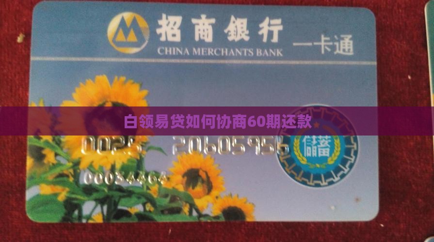 白领易贷如何协商60期还款