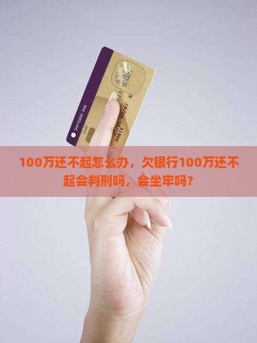 100万还不起怎么办