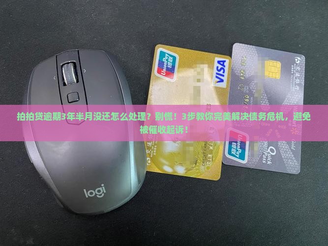 拍拍贷逾期3年半月没还怎么处理