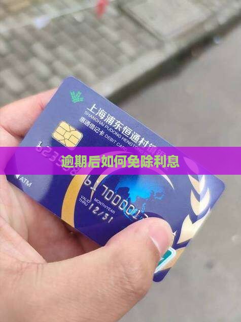 360借条逾期后如何免除利息