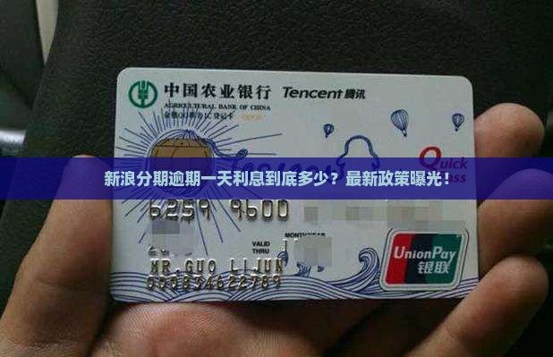 新浪分期逾期一天利息