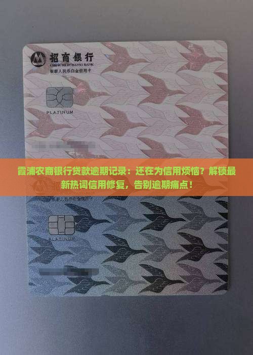 霞浦农商银行贷款逾期记录