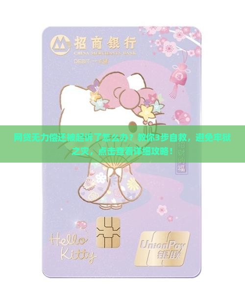 网贷无力偿还被起诉了怎么办