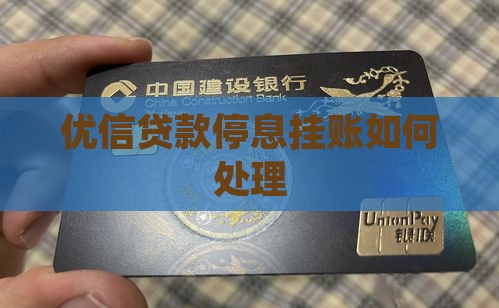 优信贷款停息挂账如何处理