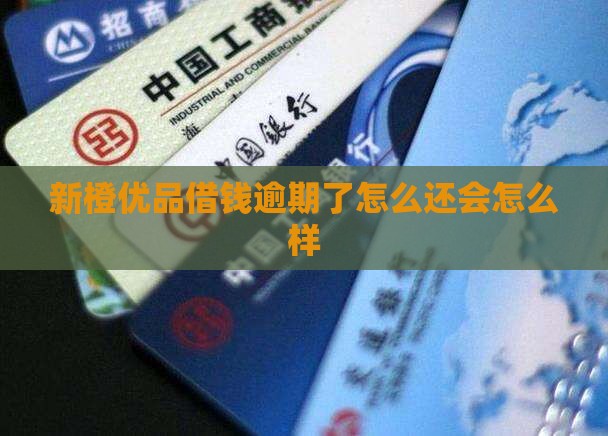 新橙优品借钱不还会怎么样