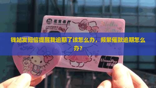 钱站发短信提醒我逾期了该怎么办，频繁催款逾期怎么办？