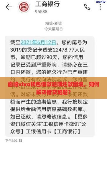 面临vivo钱包借款逾期还款困境，如何解决借贷难题？