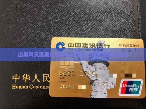 逾期网贷延期还款申请失败怎么应对及解决办法