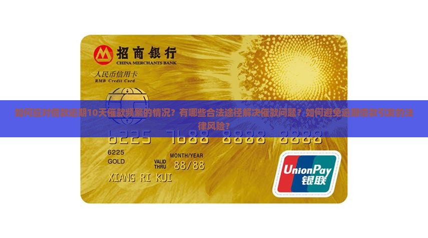 如何应对借款逾期10天催款频繁的情况？有哪些合法途径解决催款问题？如何避免逾期借款引发的法律风险？