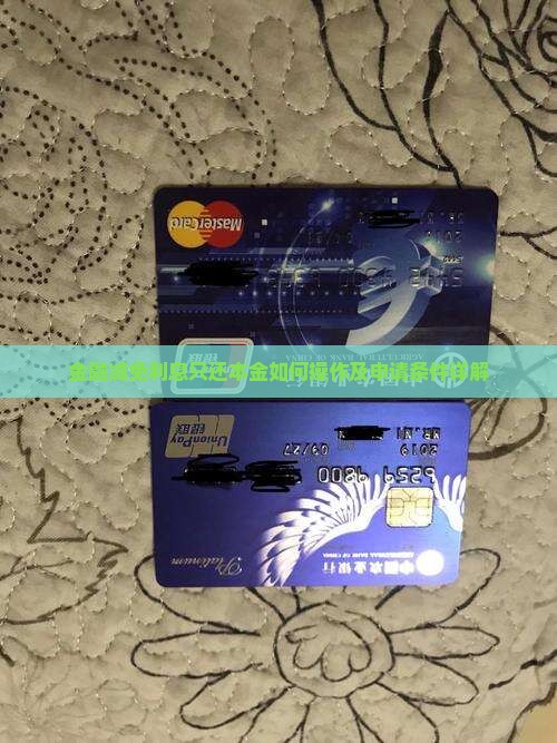 金融减免利息只还本金如何操作及申请条件详解