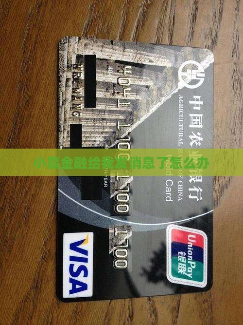 小赢金融给我发消息了怎么办
