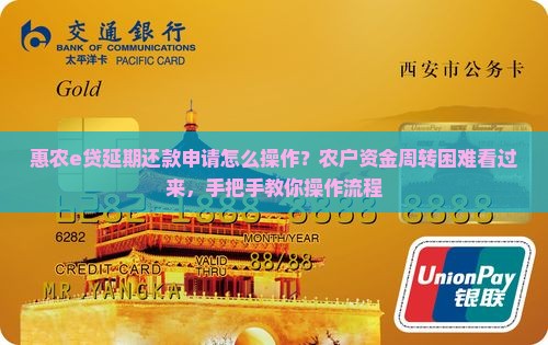 惠农e贷延期还款申请怎么操作？农户资金周转困难看过来，手把手教你操作流程