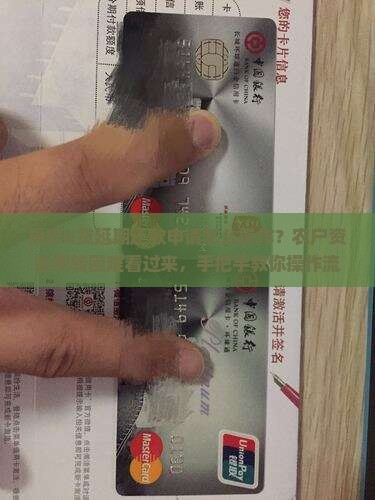 惠农e贷延期还款申请怎么操作？农户资金周转困难看过来，手把手教你操作流程
