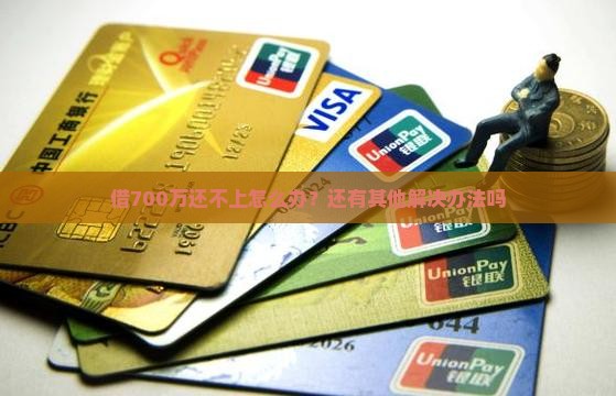 借700万还不上怎么办？还有其他解决办法吗