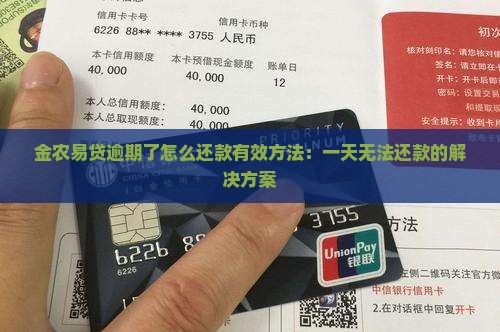 金农易贷逾期了怎么还款有效方法：一天无法还款的解决方案
