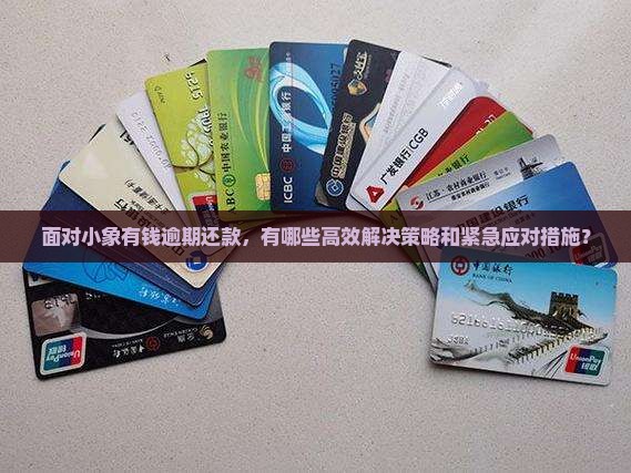 面对小象有钱逾期还款，有哪些高效解决策略和紧急应对措施？