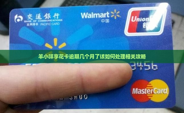 羊小咩享花卡逾期几个月了该如何处理相关攻略
