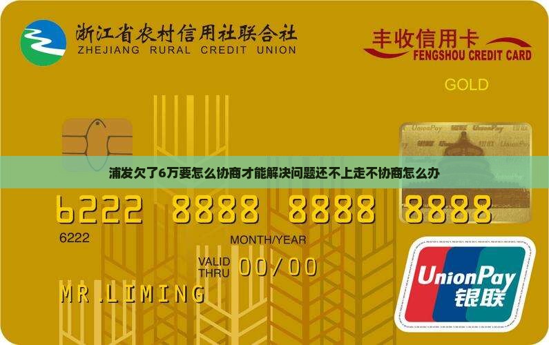 浦发欠了6万要怎么协商才能解决问题还不上走不协商怎么办