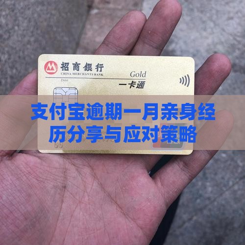 支付宝逾期一月亲身经历分享与应对策略