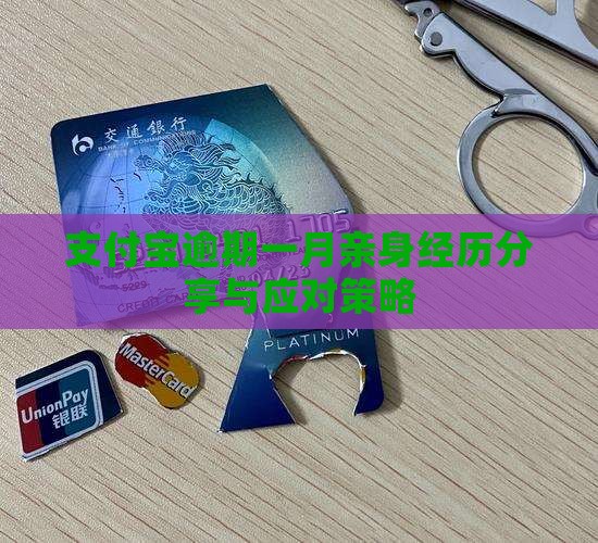 支付宝逾期一月亲身经历分享与应对策略