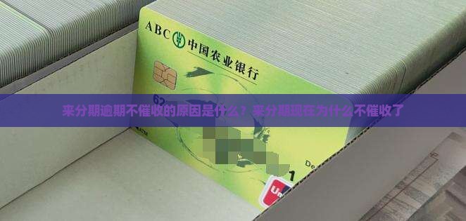 来分期逾期不催收的原因是什么？来分期现在为什么不催收了