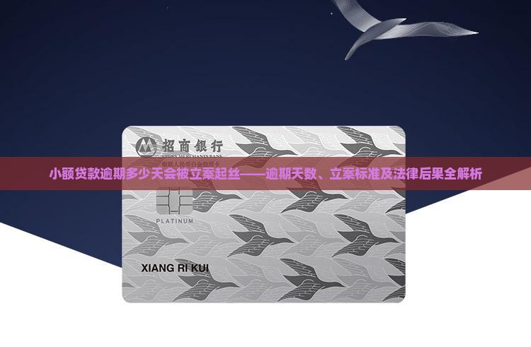小额贷款逾期多少天会被立案起丝——逾期天数、立案标准及法律后果全解析