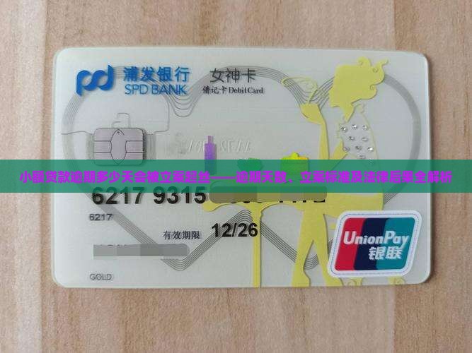 小额贷款逾期多少天会被立案起丝——逾期天数、立案标准及法律后果全解析