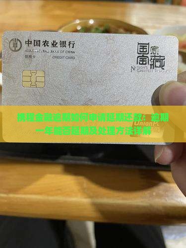 携程金融逾期如何申请延期还款：逾期一年能否延期及处理方法详解