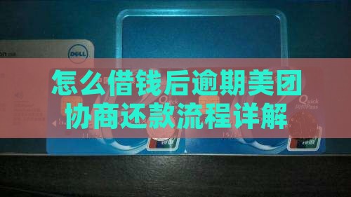 怎么借钱后逾期美团协商还款流程详解