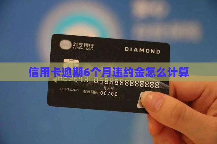 信用卡逾期6个月违约金怎么计算