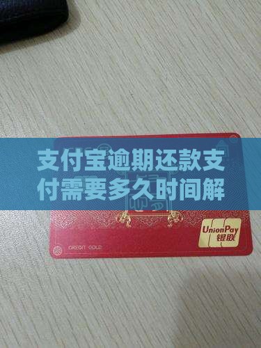 支付宝逾期还款支付需要多久时间解决