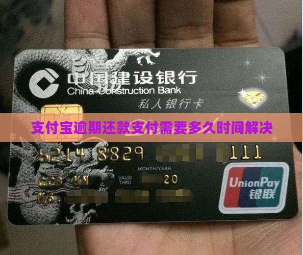 支付宝逾期还款支付需要多久时间解决