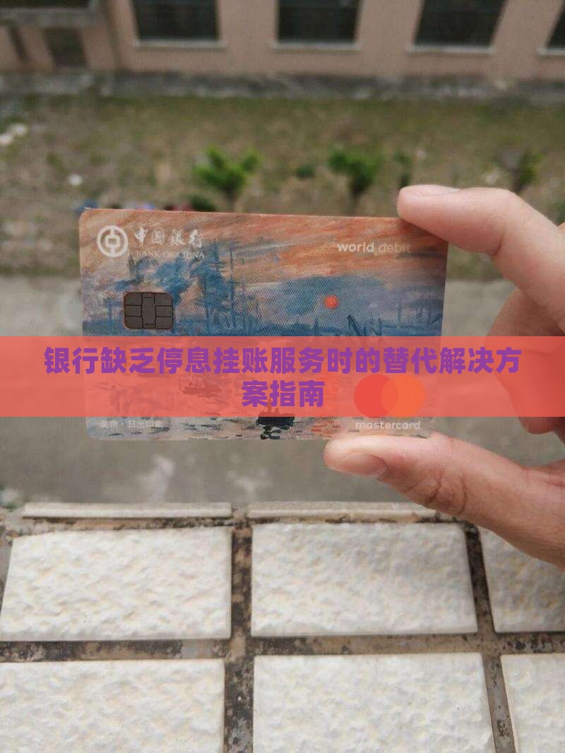 银行缺乏停息挂账服务时的替代解决方案指南