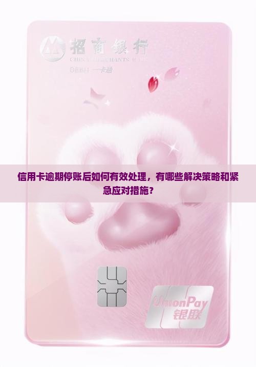 信用卡逾期停账后如何有效处理，有哪些解决策略和紧急应对措施？