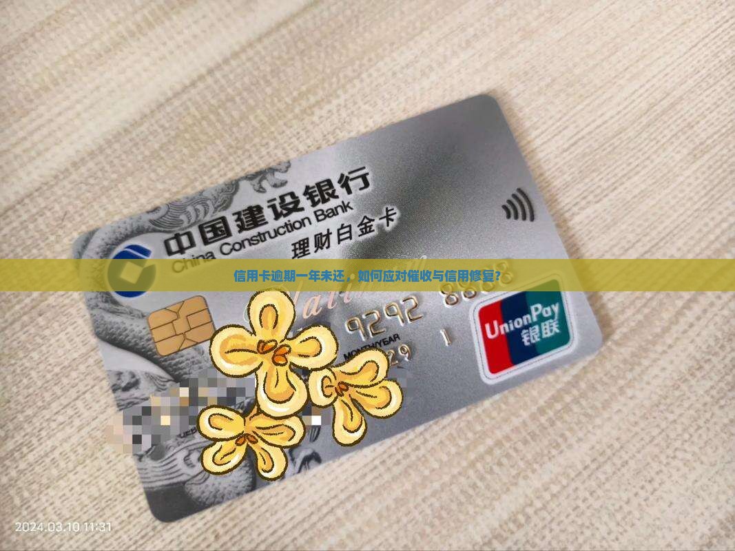 信用卡逾期一年未还，如何应对催收与信用修复？