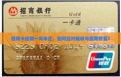 信用卡逾期一年未还，如何应对催收与信用修复？