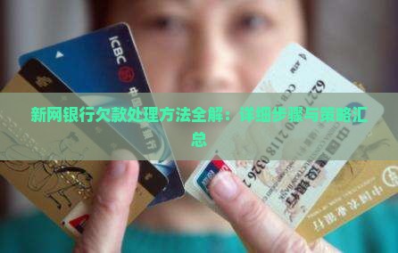 新网银行欠款处理方法全解：详细步骤与策略汇总