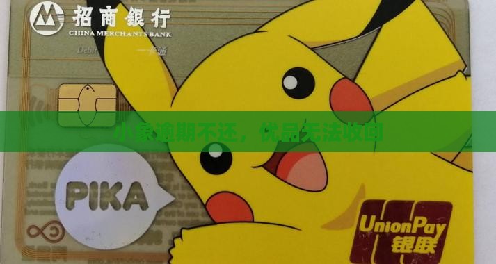 小象优品没还