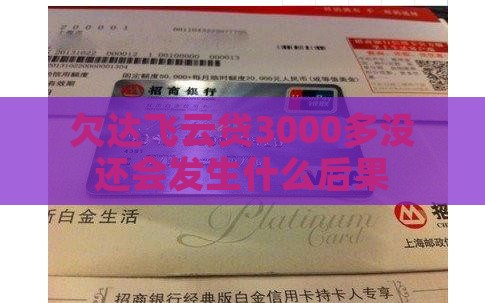 欠达飞云贷3000多没还会发生什么