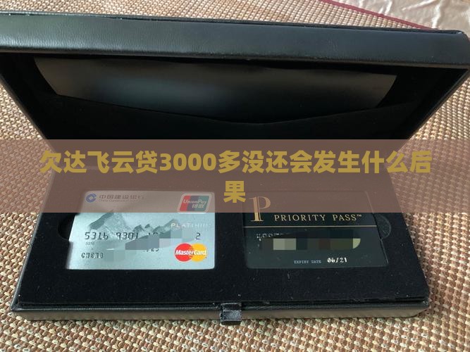 欠达飞云贷3000多没还会发生什么