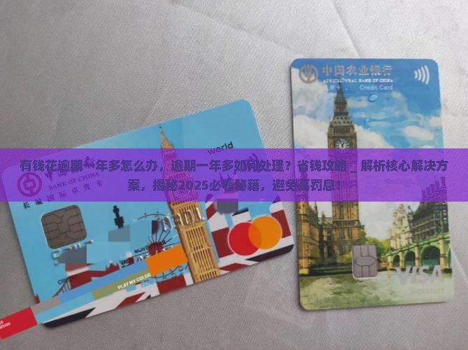 有钱花逾期一年多怎么办
