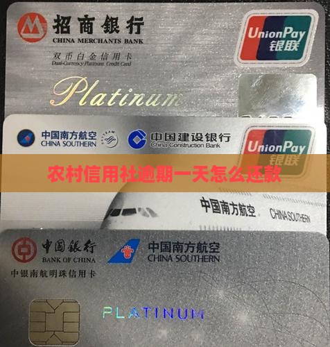 农村信用社逾期1天怎么还